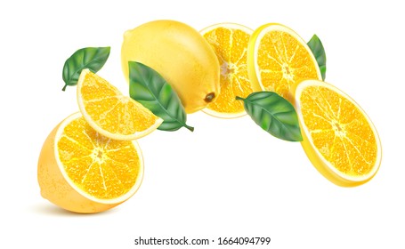 Lemon slice with green leaf in the middle isolated on white background. Realistic vector in 3D illustration.