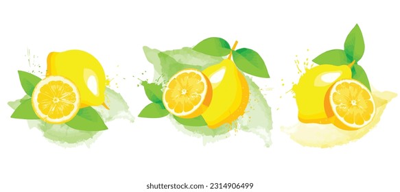 Lemon with slice and green leaves vector set on white background. Arrangements of lemons.