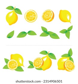 Limón con rodaja y hojas verdes vectorial sobre fondo blanco. Arreglos de limones.