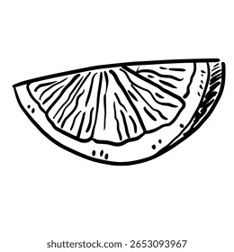 Lemon Slice Hand drawn line art sketch doodle fisherman aesthetic coastal nautical illustration 