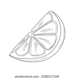 Zitronenscheibe, handgezeichneter Vektor, Grafikstil, Cartoongrafik, Schwarz-Weiß, Skizzenstil, einzeln auf weißem Hintergrund