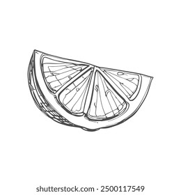 Lemon Slice, Hand-Drawn Vector, Graphic Style, Cartoon Illustration, Black and White, Sketch Style, Isolated on White Background