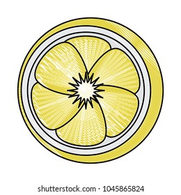 lemon slice icon 