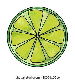 lemon slice icon image