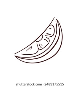 Lemon slice icon in line art style. Vector illustration isolated on a white background.