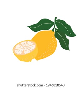 Lemon and lemon slice isolated on white background. Vector illustration can use for posters, Greeting cards, packaging and more