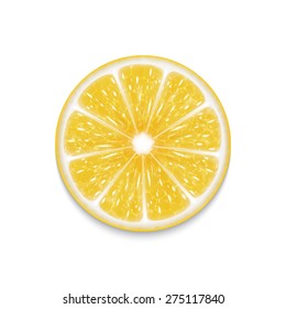Lemon slice isolated on white. EPS10 vector