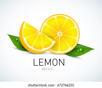Lemon slice with leaves isolated on white background. Vector illustration for decorative poster, emblem natural product, farmers market. Perfect for packaging design of cosmetics and food.
