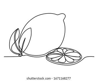 lemon and slice lies on the table. Hand-drawn picture of one continuous continuous line. Vector isolated hand-drawn illustration on a white background. Healthy Diet Fruits