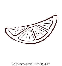 Lemon slice in line art style. Simple hand drawn citrus fruit illustration for botanical, menu, package, culinary and decorative design. Isolated on a white background.