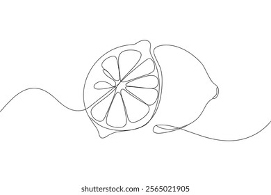 Lemon Slice Line Drawing. continuous line art lemon