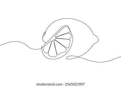 Lemon Slice Line Drawing. continuous line art lemon