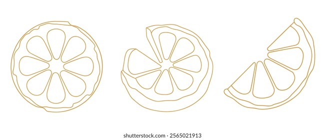 Lemon Slice Line Drawing. continuous line art lemon