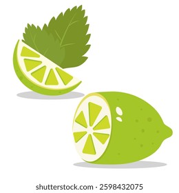 lemon slice with mint and lemon, lime, citrus
