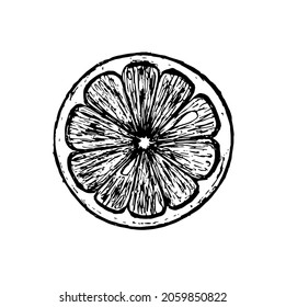 Lemon slice on a white background. Doodles illustration