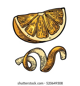 Lemon Slice and peel twirled . Isolated on white background. Vector color vintage engraved illustration. Hand drawn design element for label and poster