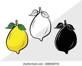 Lemon, Lemon Slice, Printable Vector Illustration