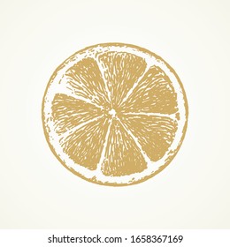 Lemon slice, Sketch hand drawn