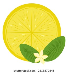 Lemon slice for tea, leaves, flower and lemon vector illustration