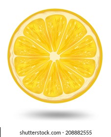 lemon wedge vector