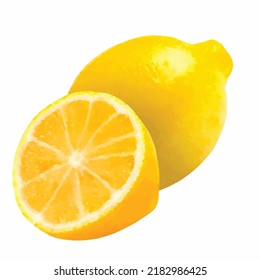 Zitrone mit Schlitzvektor. Aquarellfarben-Illustration. Citrus Clip Art. Exotische Früchte Bild. Handgezeichnet. Clipkunst für Logo-Design und Grußkartendekoration.