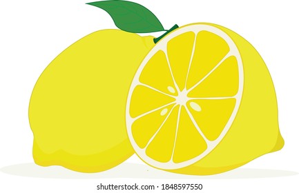 Lemon and slice lemon vector graphics