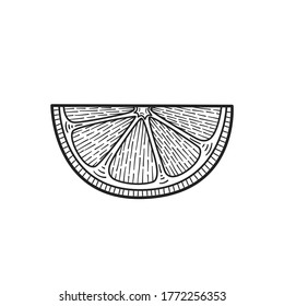 Lemon slice. Vector hand drawn illustration. Sketch.