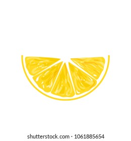 Lemon slice vector icon illustration on white background. Fresh sour vector lemon icon.