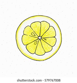 Lemon slice. Vector illustration.