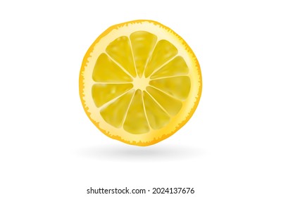lemon slice vector illustration isolated on white background.