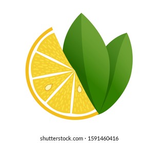 Lemon slice vector illustration on white background. Fresh sour lemon icon. Logo design