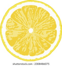 Lemon slice vector illustrations, clipping path, isolated on a white background