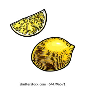 Lemon Slice And And Whole. Isolated On White Background. Vector Color Vintage Engraving Illustration. Hand Drawn Design Element For Label And Poster