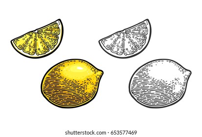 Lemon Slice and and whole. Isolated on white background. Vector black and color vintage engraving illustration. Hand drawn design element for label and poster