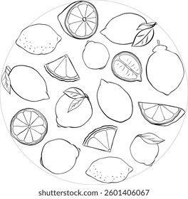 Lemon slice and whole with leaves circle round composition. Graphic line ink vector black and white illustration isolated on transparent background. ideal for menu and package designs.

