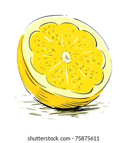 Lemon sliced cartoon sketch vector illustration