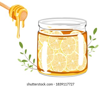 lemon sliced with honey in a clear jar and honey dripper on white background vector illustration