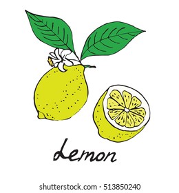 Lemon and sliced piece, hand drawn doodle, sketch in pop art style, vector
