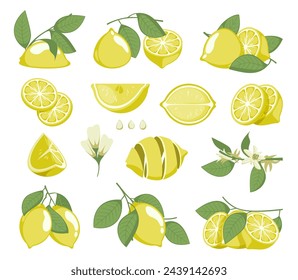 Lemon slices. Citrus fruit with juice and peel, organic natural vitamin C ingredients, fresh yellow fruit pieces for cooking. Vector isolated set. Ripe tropical product, sliced, halved element