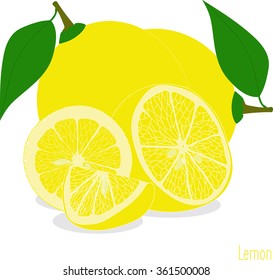 Lemon slices, collection of vector illustrations on a transparent background