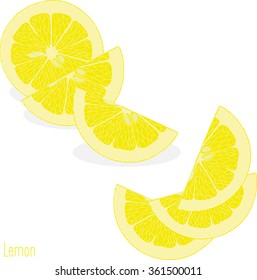 Lemon slices, collection of vector illustrations on a transparent background