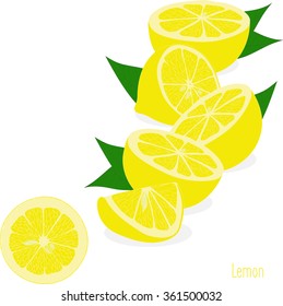 Lemon slices, collection of vector illustrations on a transparent background