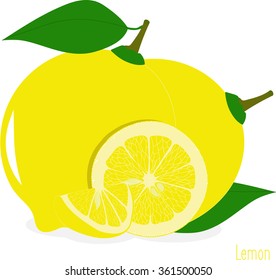 Lemon slices, collection of vector illustrations on a transparent background