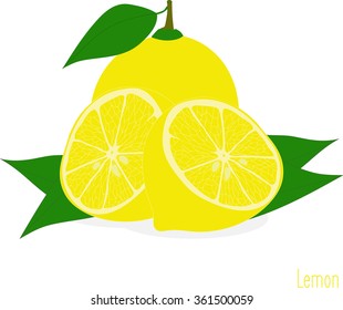 Lemon slices, collection of vector illustrations on a transparent background