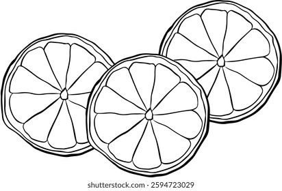 lemon slices composition. Hand drawn graphic line ink Vector illustration, best Ideal for menu and package designs.

