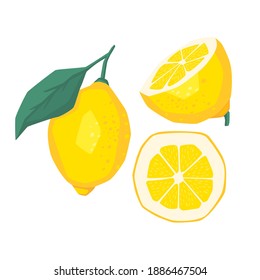 Lemon slices. Fresh citrus, half sliced lemons and chopped lemon. Cut lemons fruit slice and zest for lemonade juice. Cartoon illustration Isolated on white background, vector eps 10 format