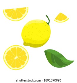 Lemon slices. Fresh citrus, half sliced lemons and chopped lemon. Cut lemons fruit slice. vector illustration.