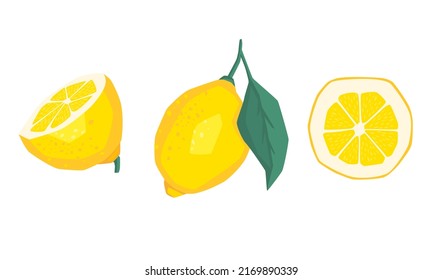 Lemon slices. Fresh citrus, half sliced lemons and chopped lemon. Cut lemons fruit slice and zest for lemonade juice. Cartoon illustration Isolated on white background, vector eps 10 format