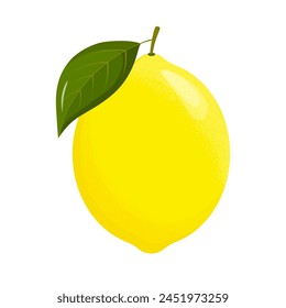 Lemon slices. Fresh citrus, half sliced lemons. Lemon is a fruit that is sour and has high vitamin C. Flat style. Vector illustration