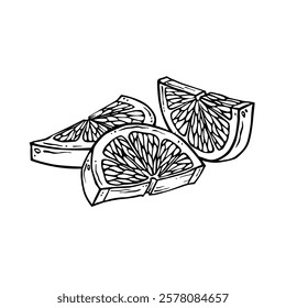 Lemon slices. Hand drawn ink graphic illustration of citrus fruit. Linear drawing of lime lobules. Outline sketch of citron. Black line art of chopped grapefruit for kitchen textiles, packaging, label